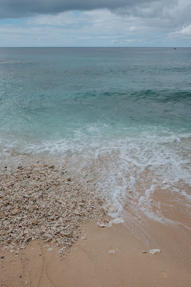 jana meerman flying fish cove christmas island-6