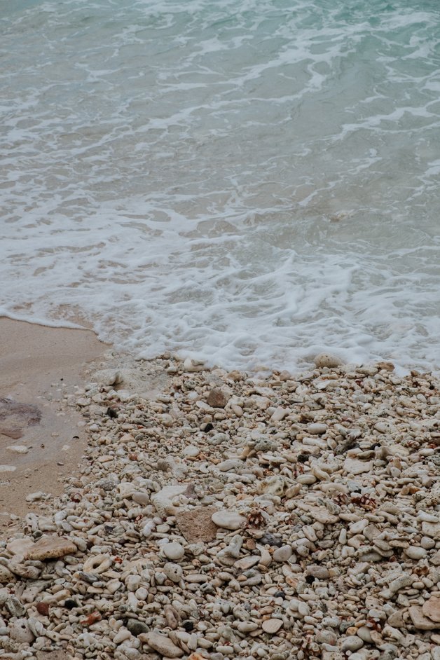 jana meerman flying fish cove christmas island-6