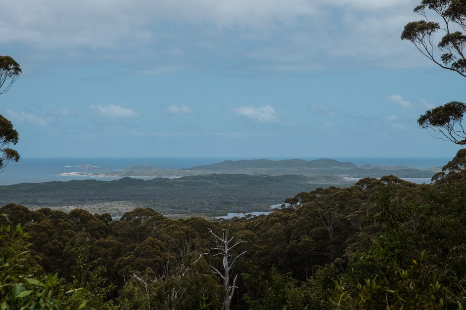 jana meerman giant tingle tree western australia-01