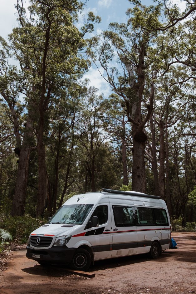 jana meerman giant tingle tree western australia-07