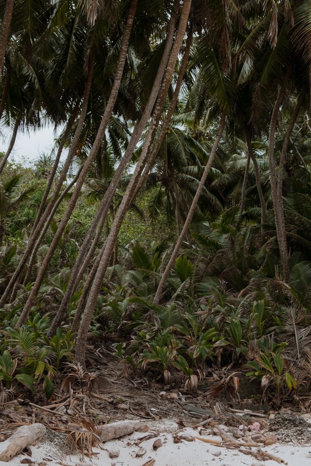 jana meerman greta beach christmas island-03