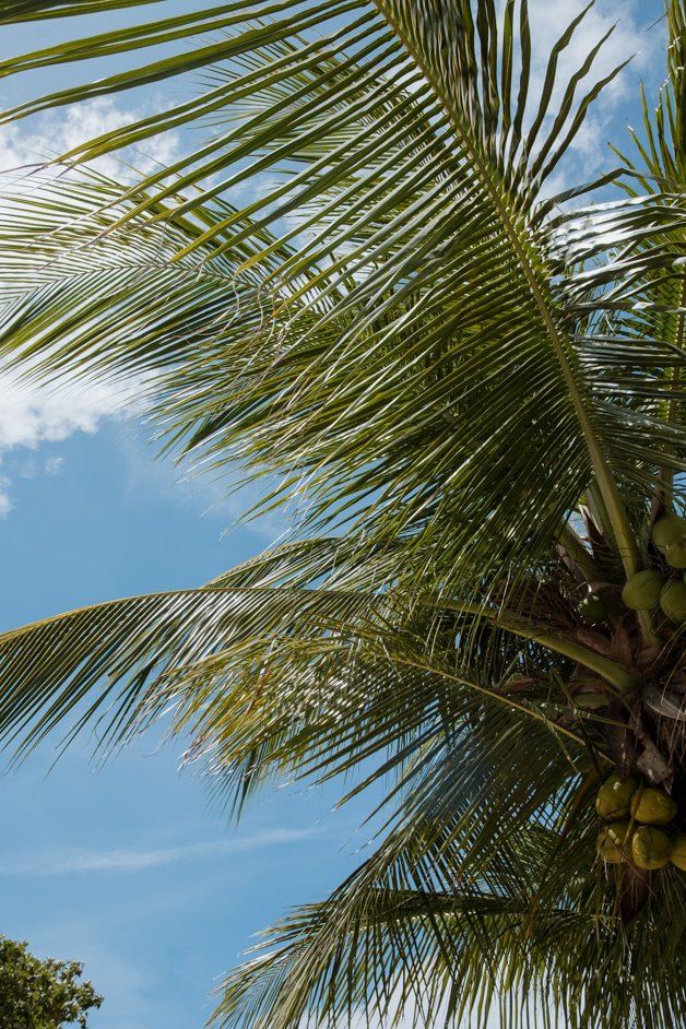 jana meerman home island cocos keeling islands-017