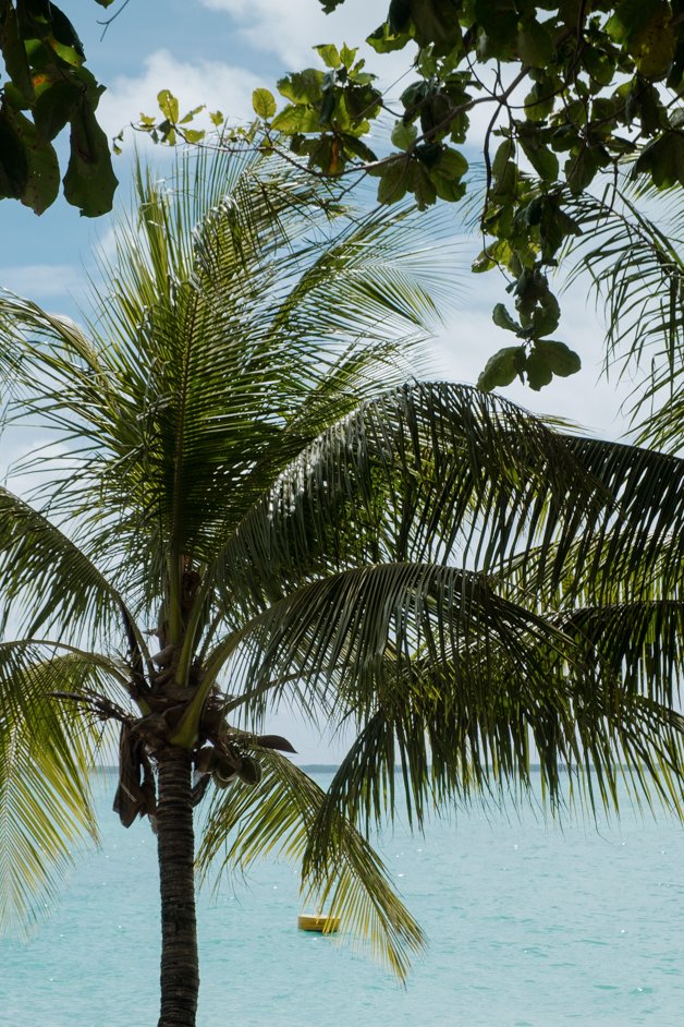 jana meerman home island cocos keeling islands-017