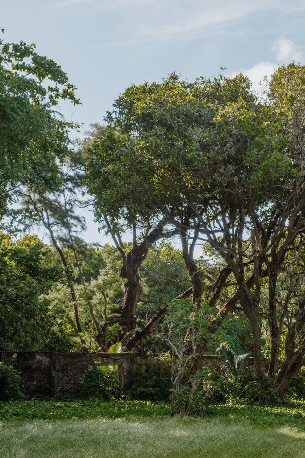 jana meerman home island cocos keeling islands-012