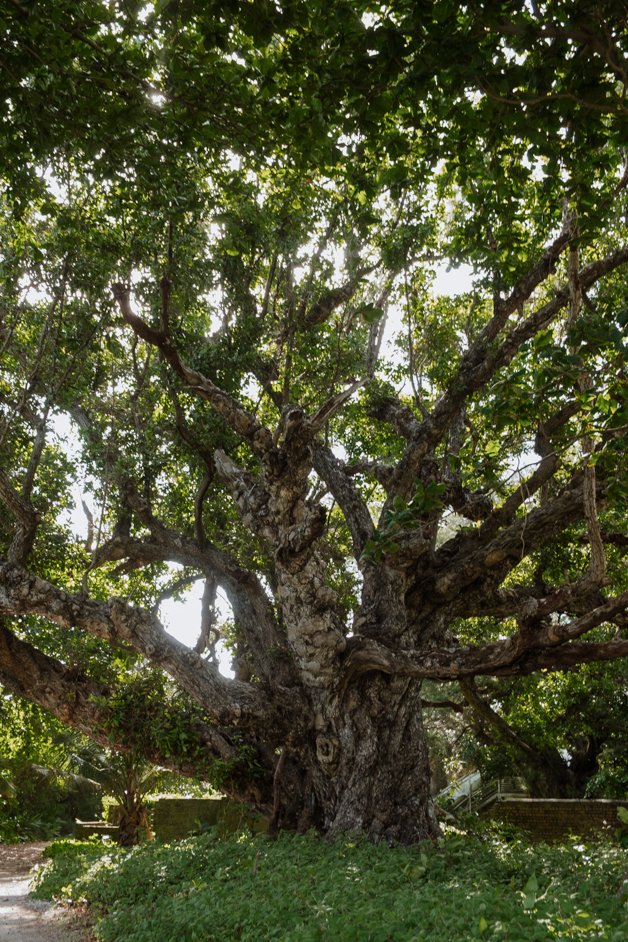 jana meerman home island cocos keeling islands-012