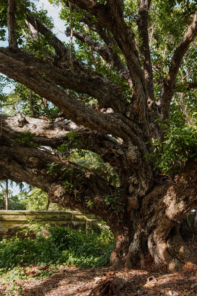 jana meerman home island cocos keeling islands-012