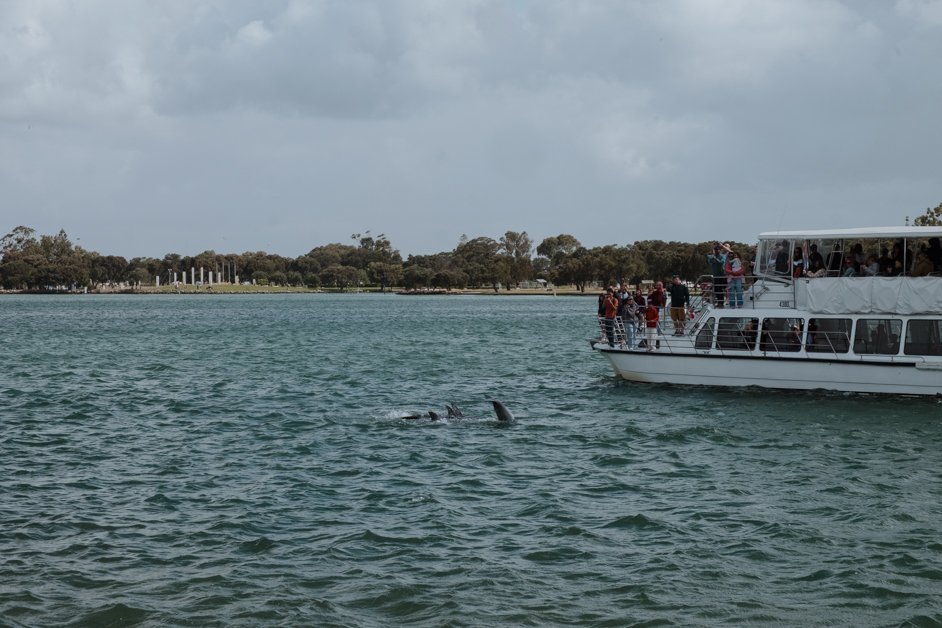 jana meerman mandurah dolphins australia-11