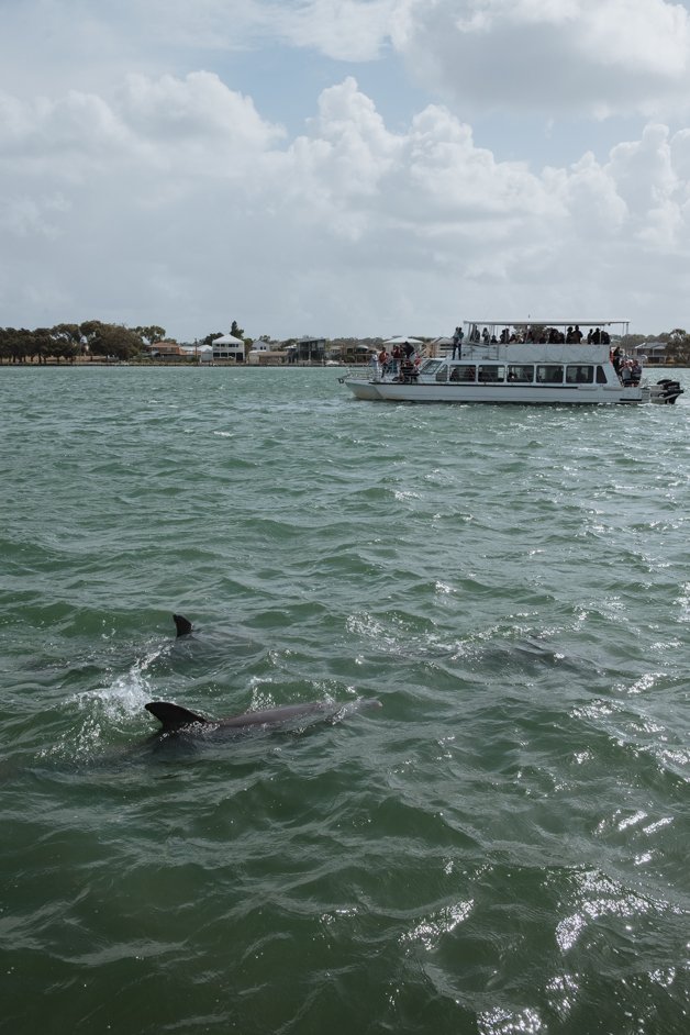 jana meerman mandurah dolphins australia-24