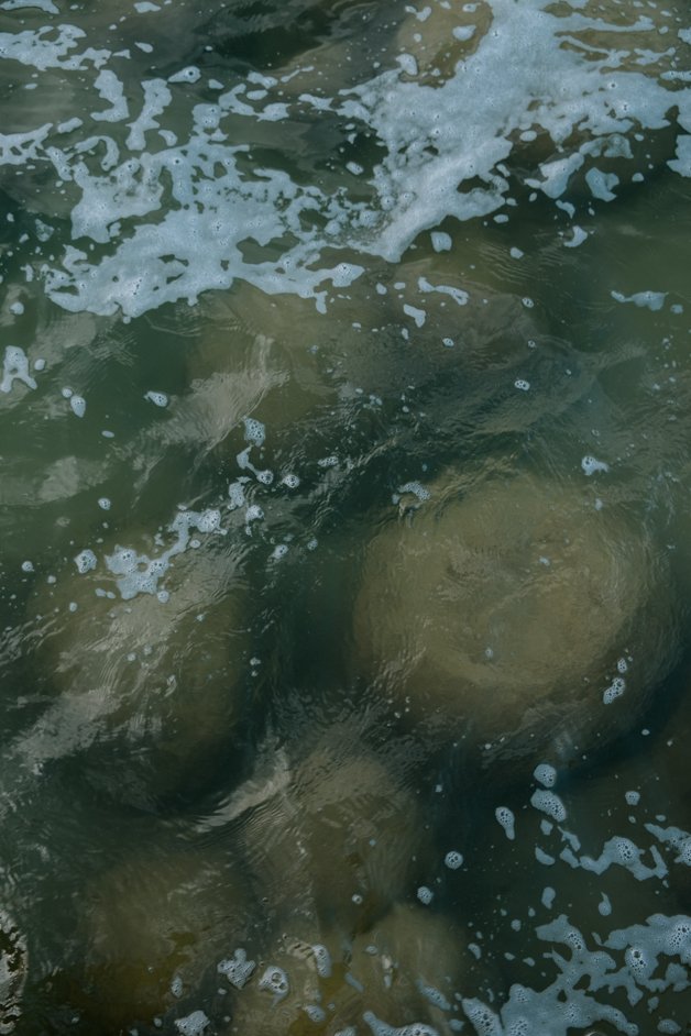 jana meerman mandurah lake clifton thrombolites australia-01