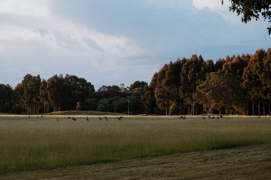 jana meerman margaret river australia-066