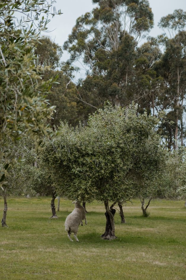 jana meerman margaret river australia-079