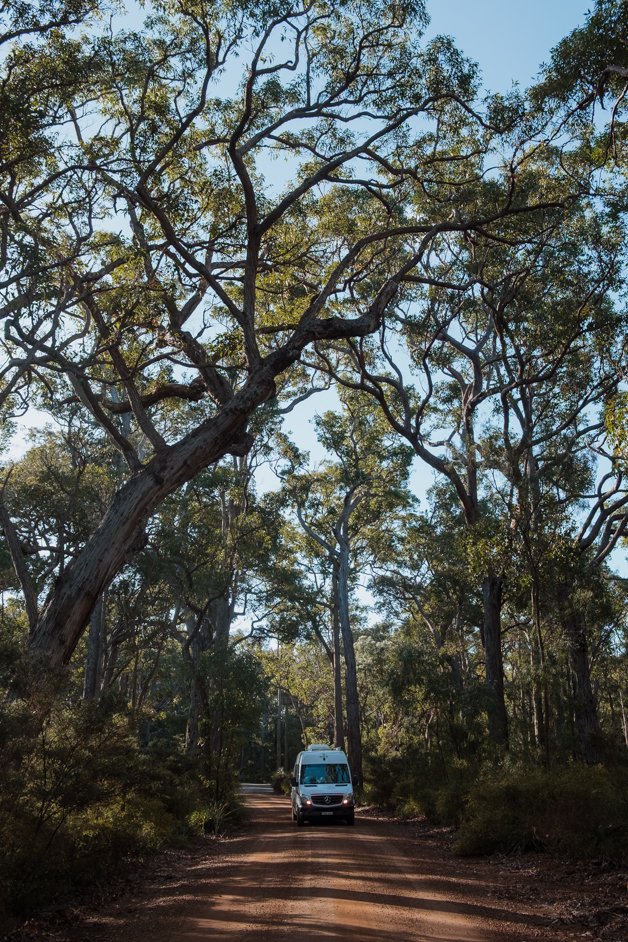 jana meerman margaret river australia-065