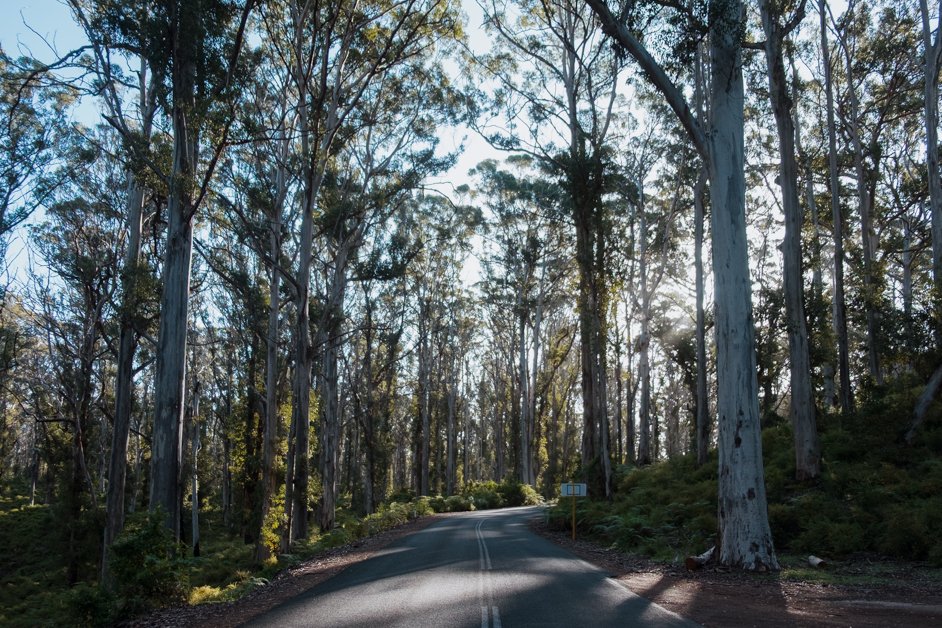 jana meerman margaret river australia-112