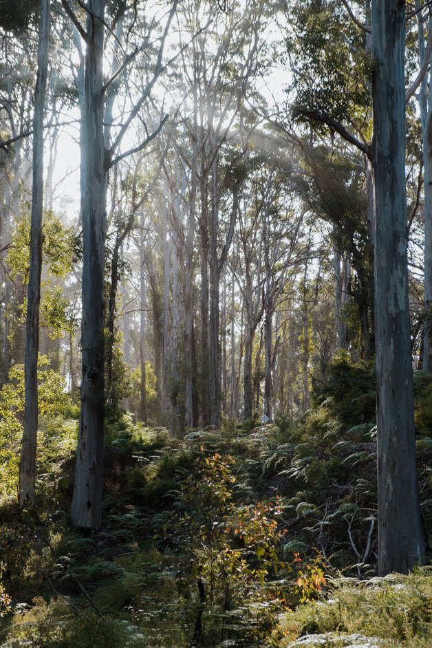 jana meerman margaret river australia-112