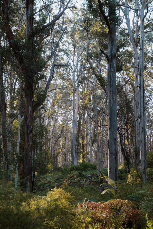 jana meerman margaret river australia-112