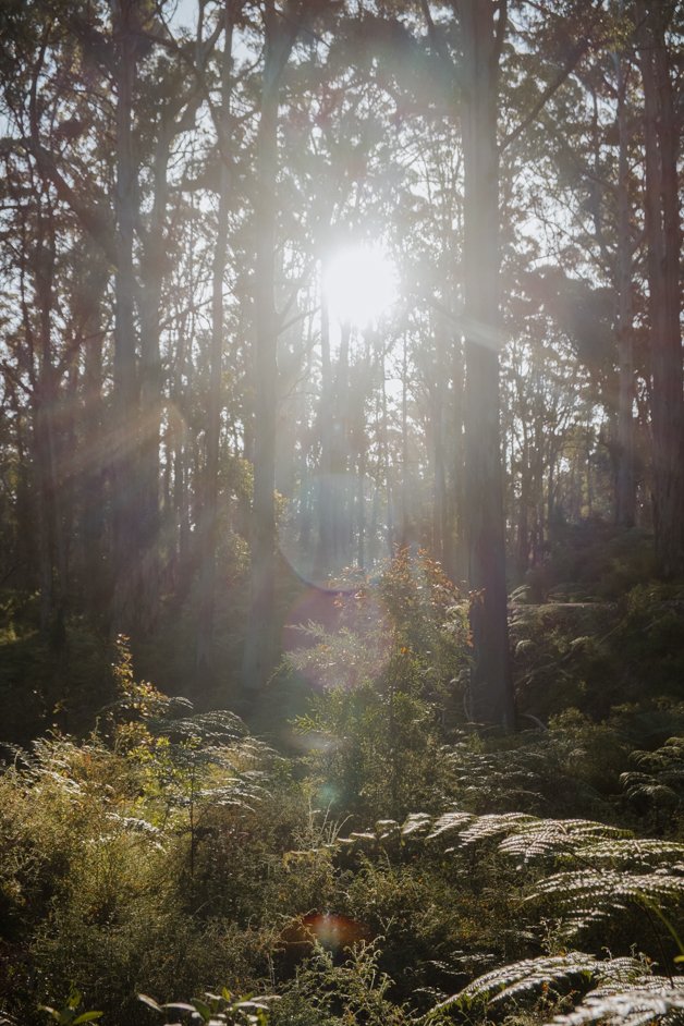 jana meerman margaret river australia-112