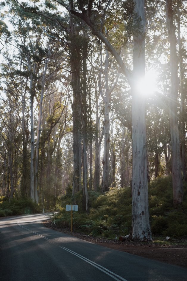 jana meerman margaret river australia-112