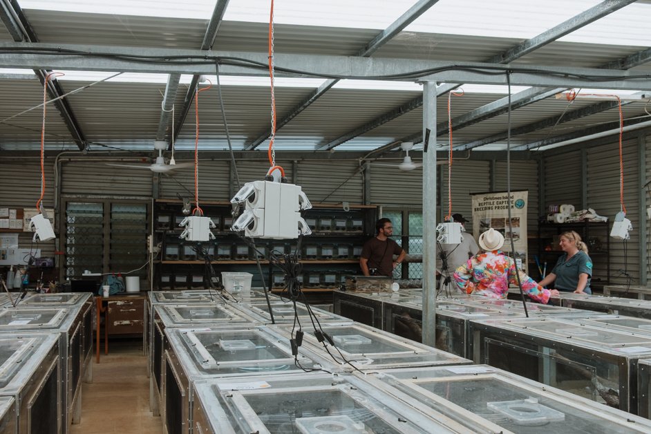 jana meerman pink house research station christmas island-4