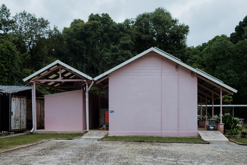 jana meerman pink house research station christmas island-4