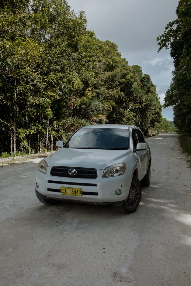 jana meerman red crab migration christmas island-08