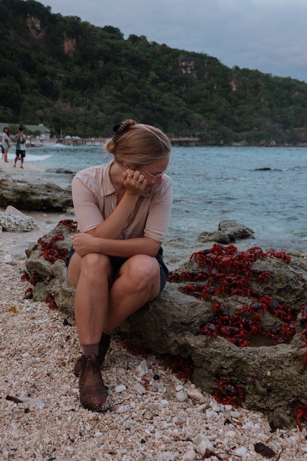jana meerman red crab migration christmas island-13