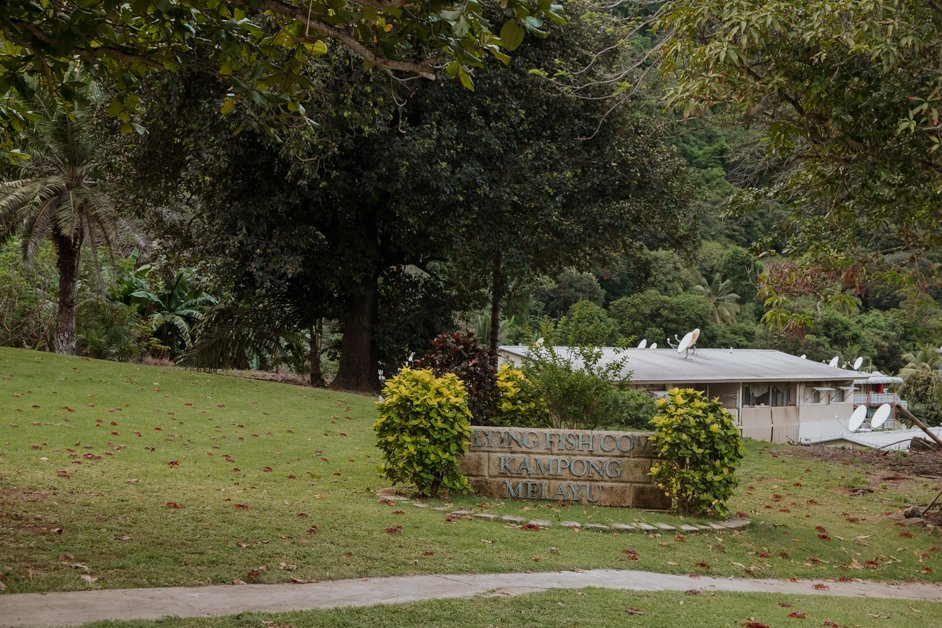 jana meerman red crab migration christmas island-78