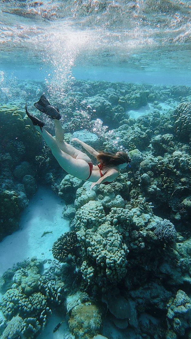 jana meerman snorkeling direction island cocos keeling islands-67