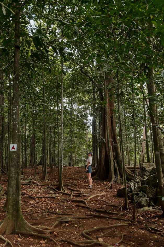 jana meerman territory day park red crab migration christmas island-02