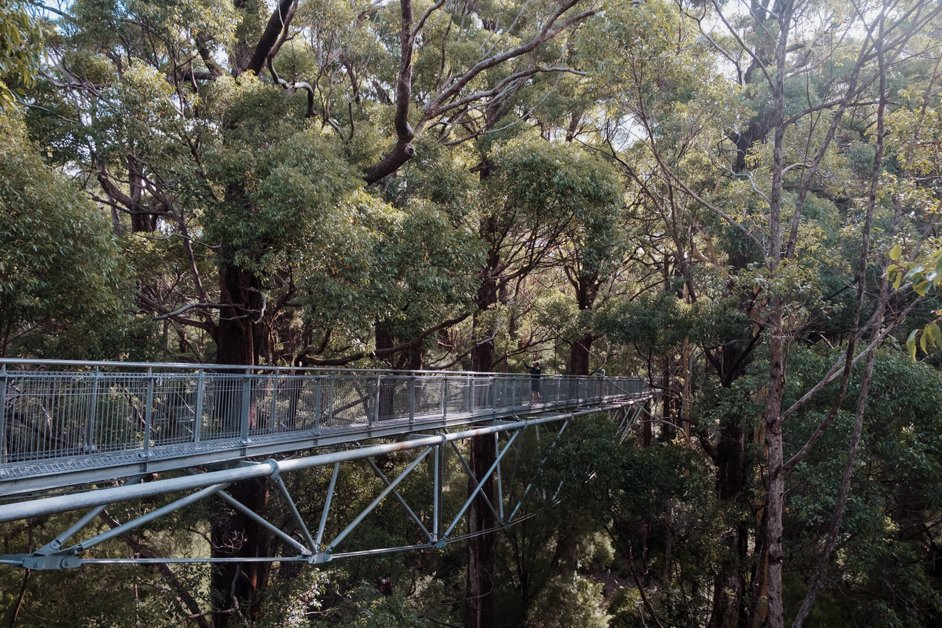 jana meerman valley of the giants treetop walk walpole-nornalup australia-2