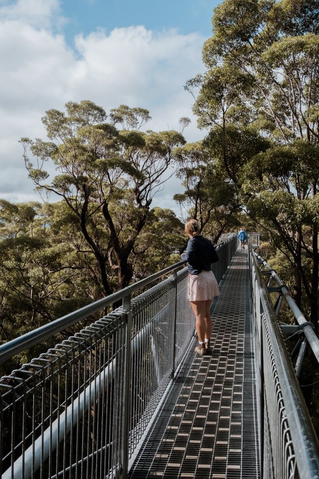 jana meerman valley of the giants treetop walk walpole-nornalup australia-2