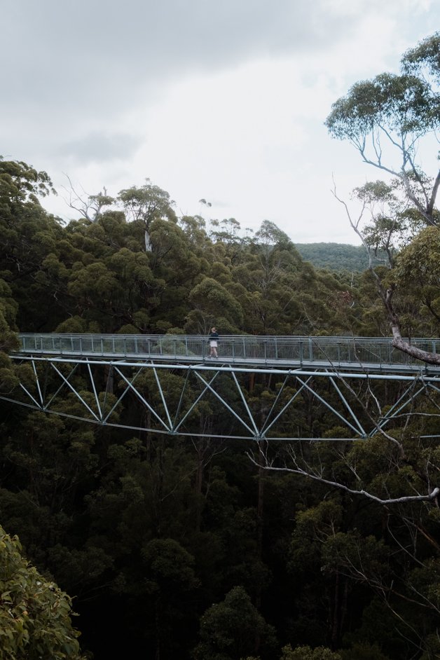 jana meerman valley of the giants treetop walk walpole-nornalup australia-2