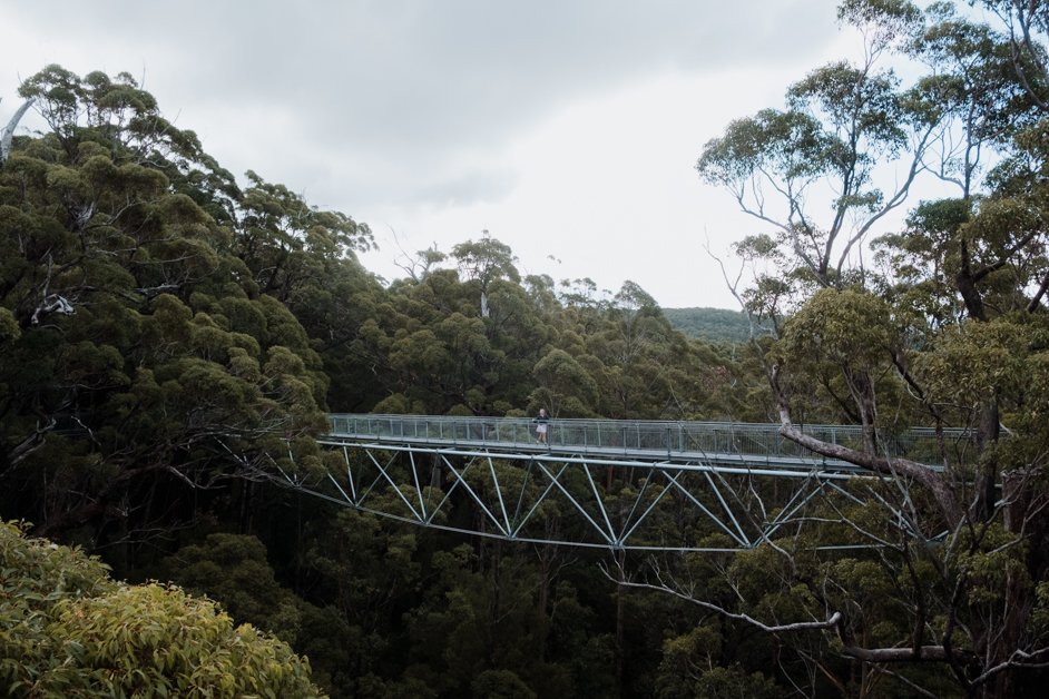 jana meerman valley of the giants treetop walk walpole-nornalup australia-2