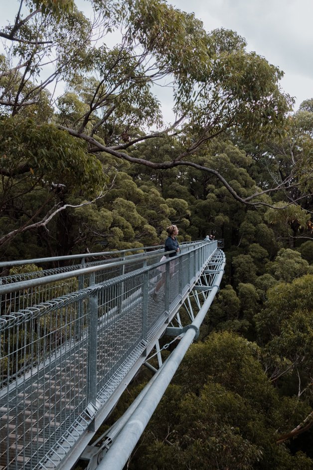 jana meerman valley of the giants treetop walk walpole-nornalup australia-2