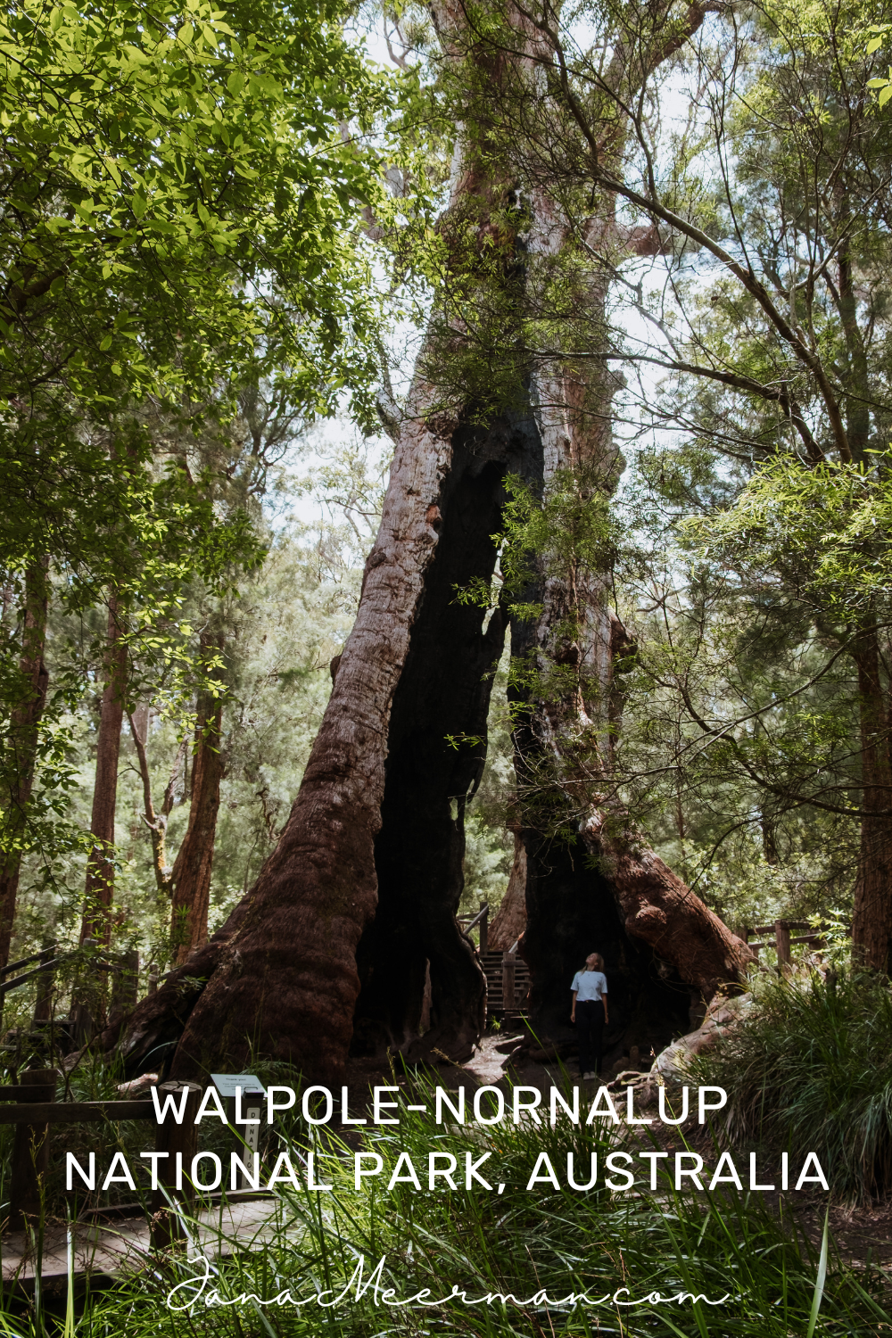 walpole-nornalup (2)