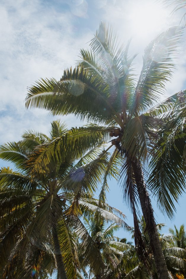 jana meerman aitutaki cook islands-4