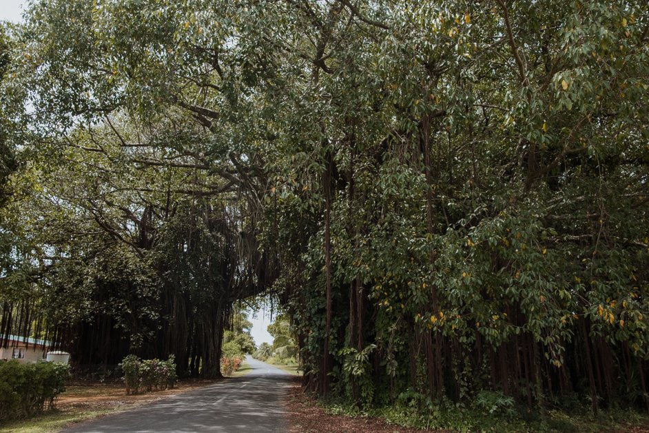 jana meerman aitutaki cook islands-10