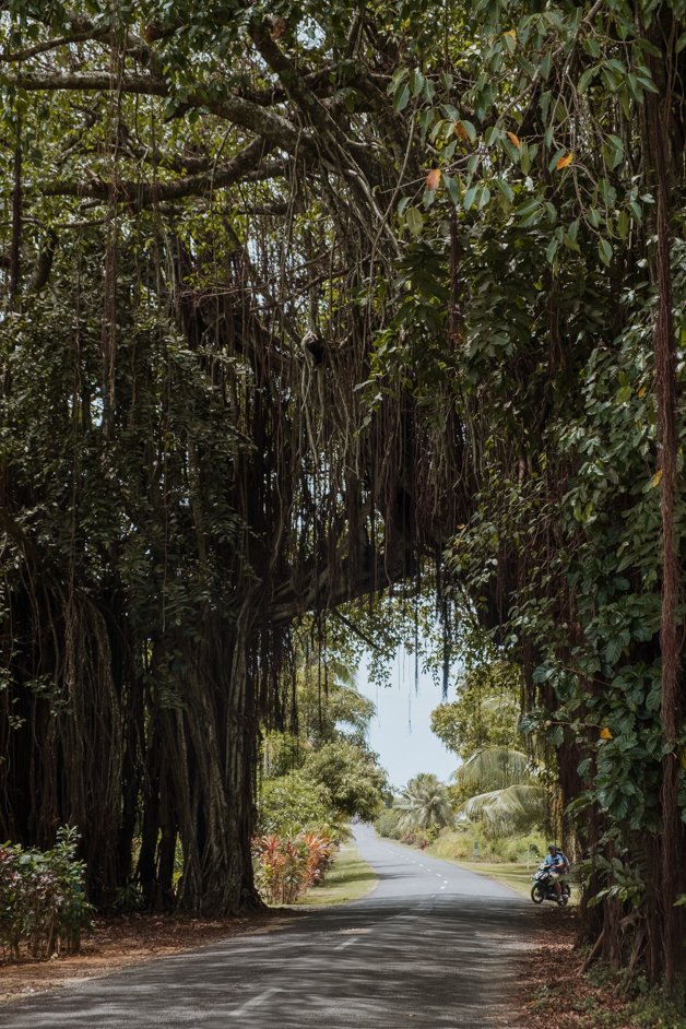 jana meerman aitutaki cook islands-10