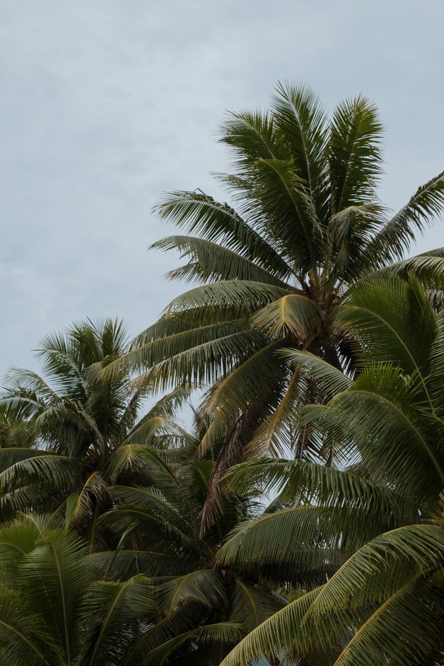 jana meerman aitutaki lagoon cook islands-6