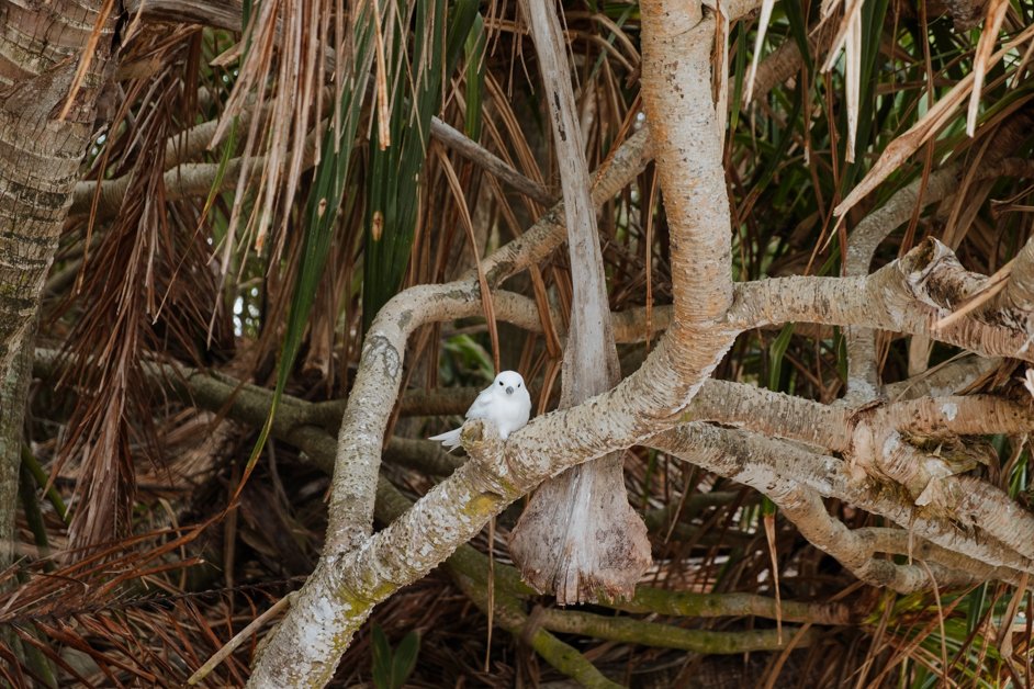 jana meerman aitutaki lagoon cook islands-17