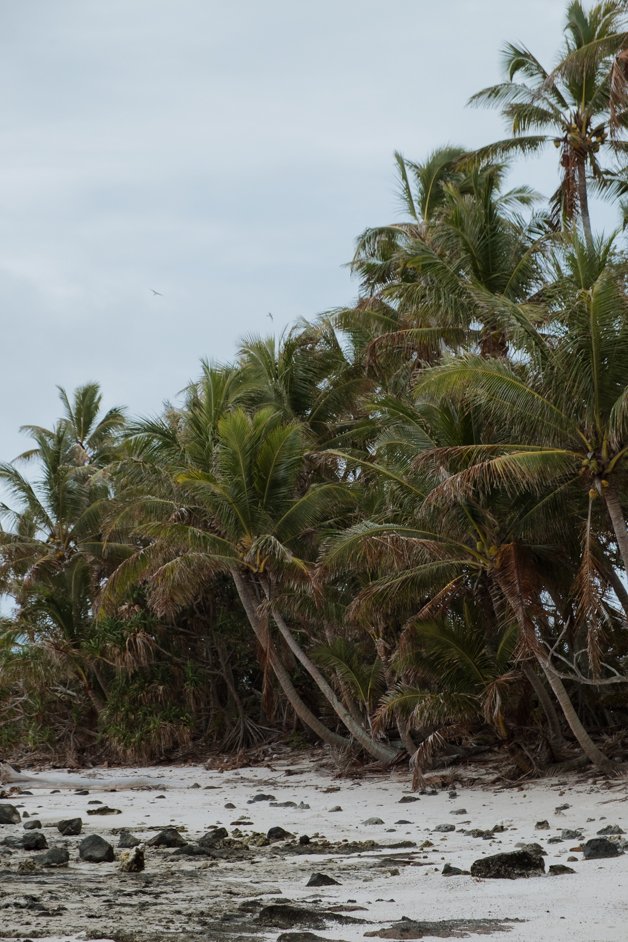jana meerman aitutaki lagoon cook islands-17