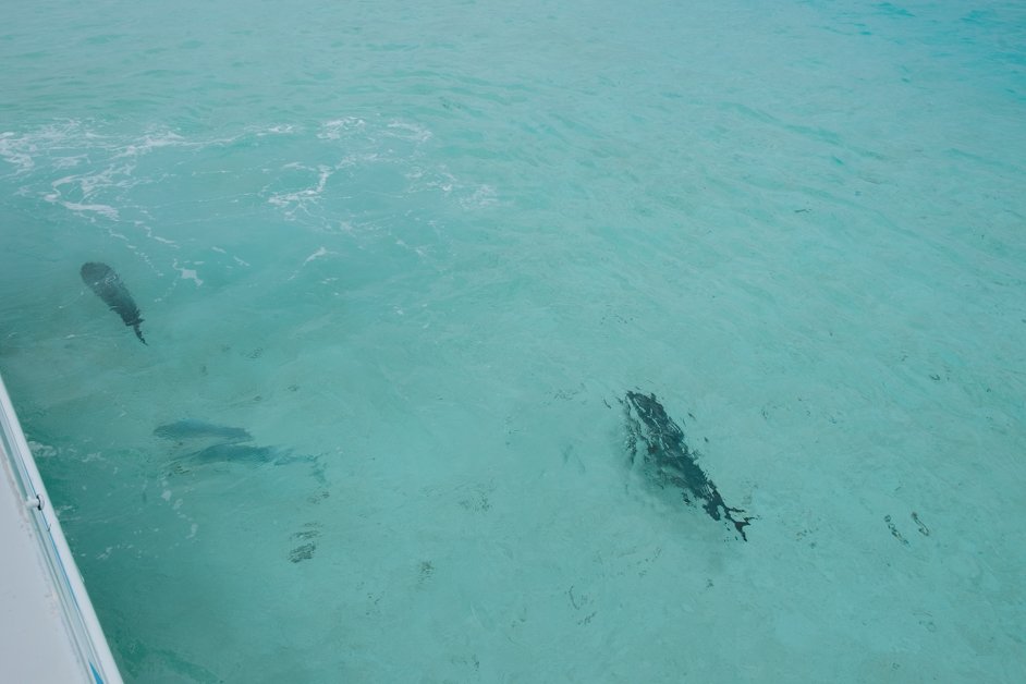jana meerman aitutaki lagoon cook islands-28