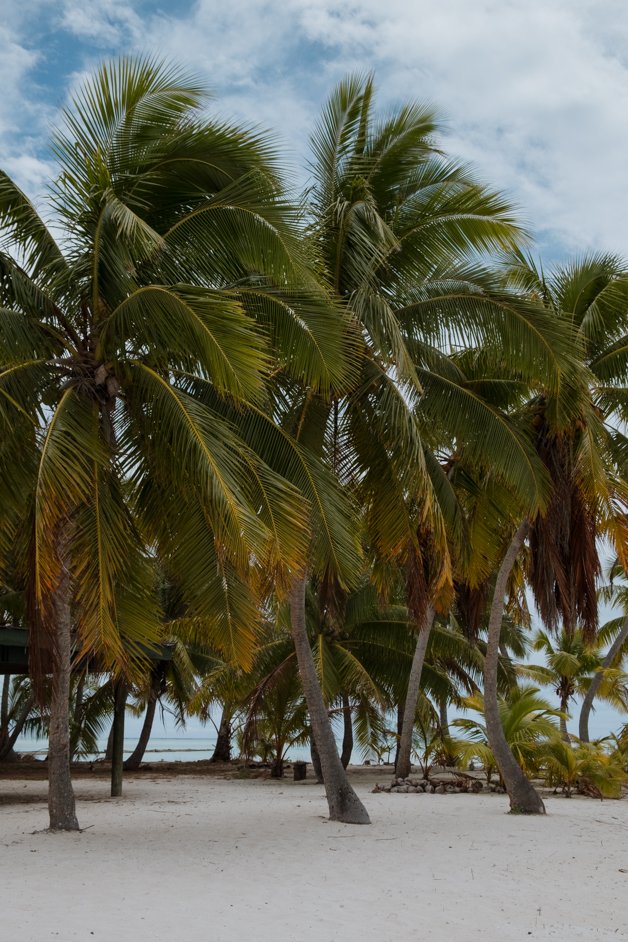 jana meerman aitutaki lagoon cook islands-41