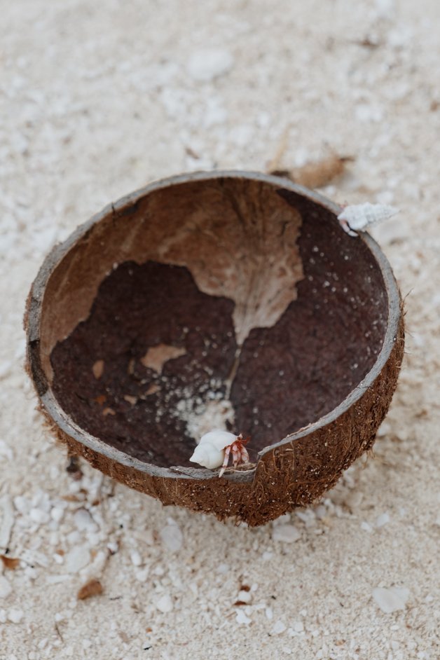 jana meerman aitutaki lagoon cook islands-41