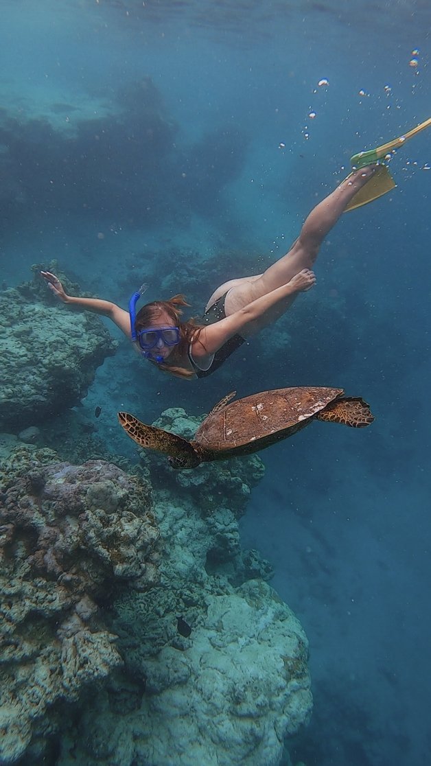 jana meerman avaavaroa passage rarortonga snorkeling cook islands-11