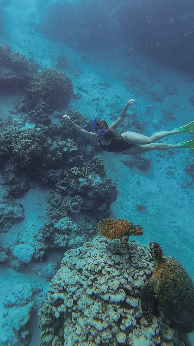 jana meerman avaavaroa passage rarortonga snorkeling cook islands-11