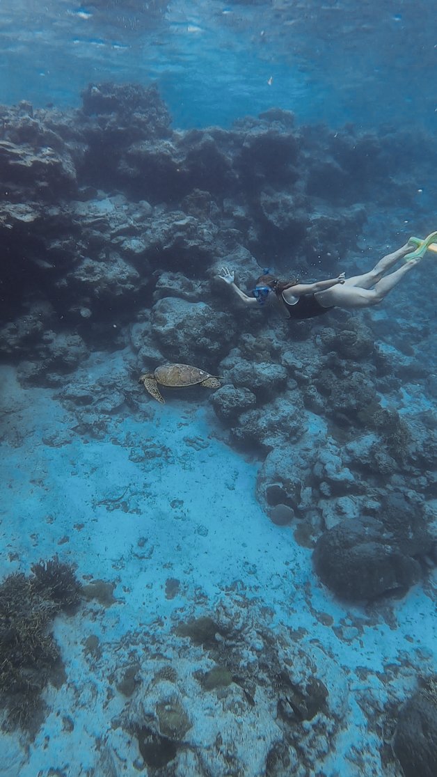 jana meerman avaavaroa passage rarortonga snorkeling cook islands-11