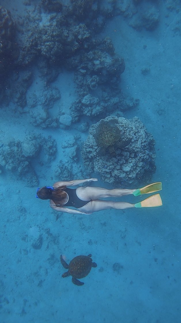jana meerman avaavaroa passage rarortonga snorkeling cook islands-11