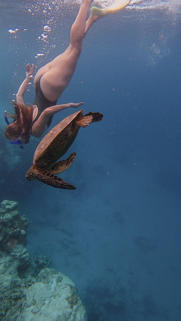 jana meerman avaavaroa passage rarortonga snorkeling cook islands-11