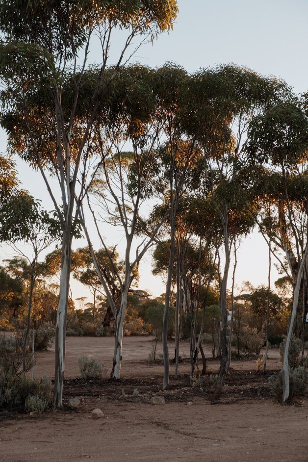 jana meerman bj's rest free campground nullarbor australia-02