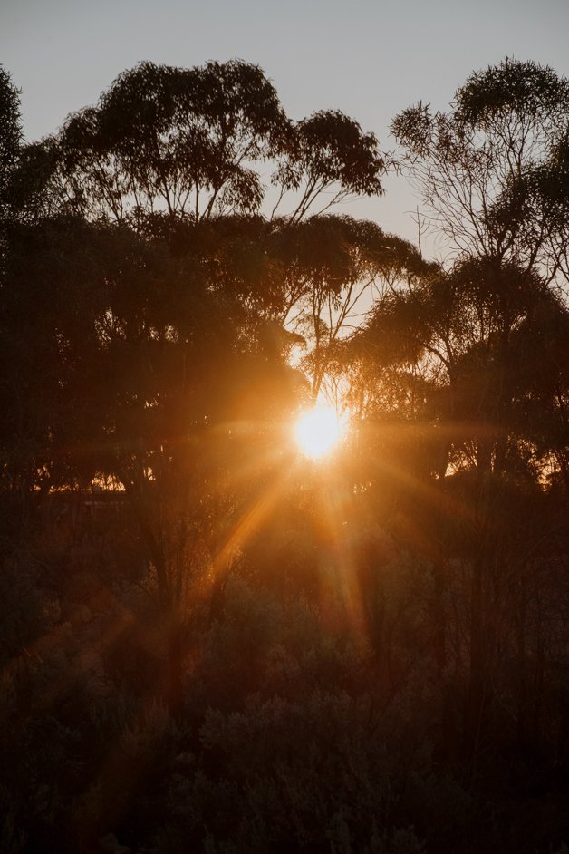jana meerman bj's rest free campground nullarbor australia-02